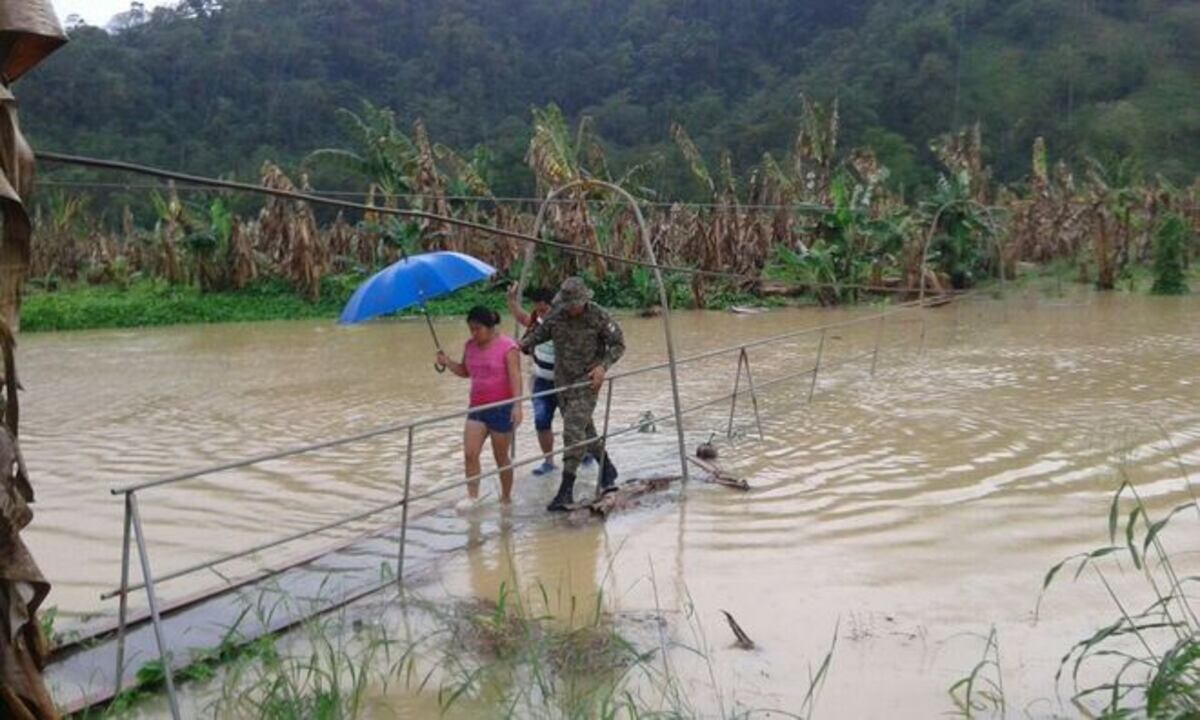¡AY, MADRE! Se emberraca Donderis. Les diremos por qué