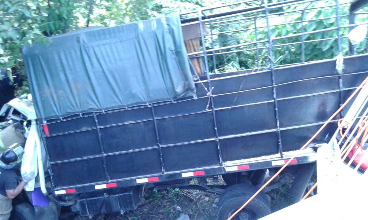 UNA SEÑORA MUERE. Camión de ganado cae al barranco y se estrella con un árbol 