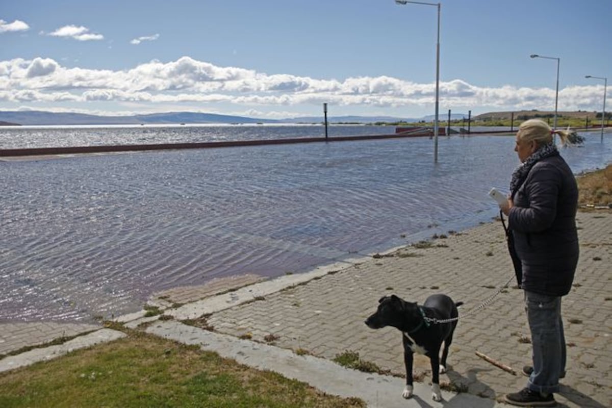 Glaciar se rompe e inunda zona en la Patagonia argentina