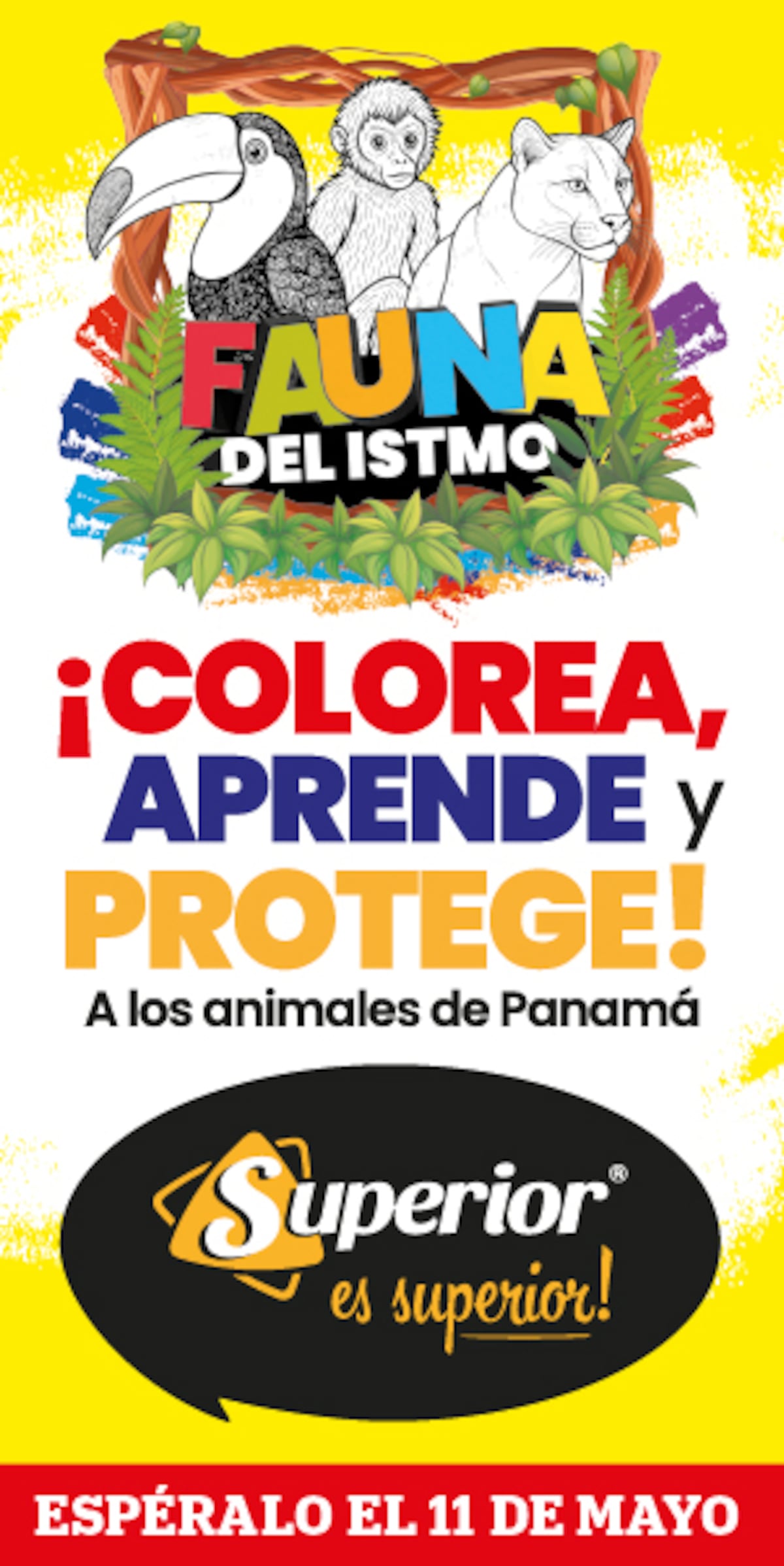 ¡Este 11 de mayo llega Fauna del Istmo! La colección para colorear que cuida la fauna panameña