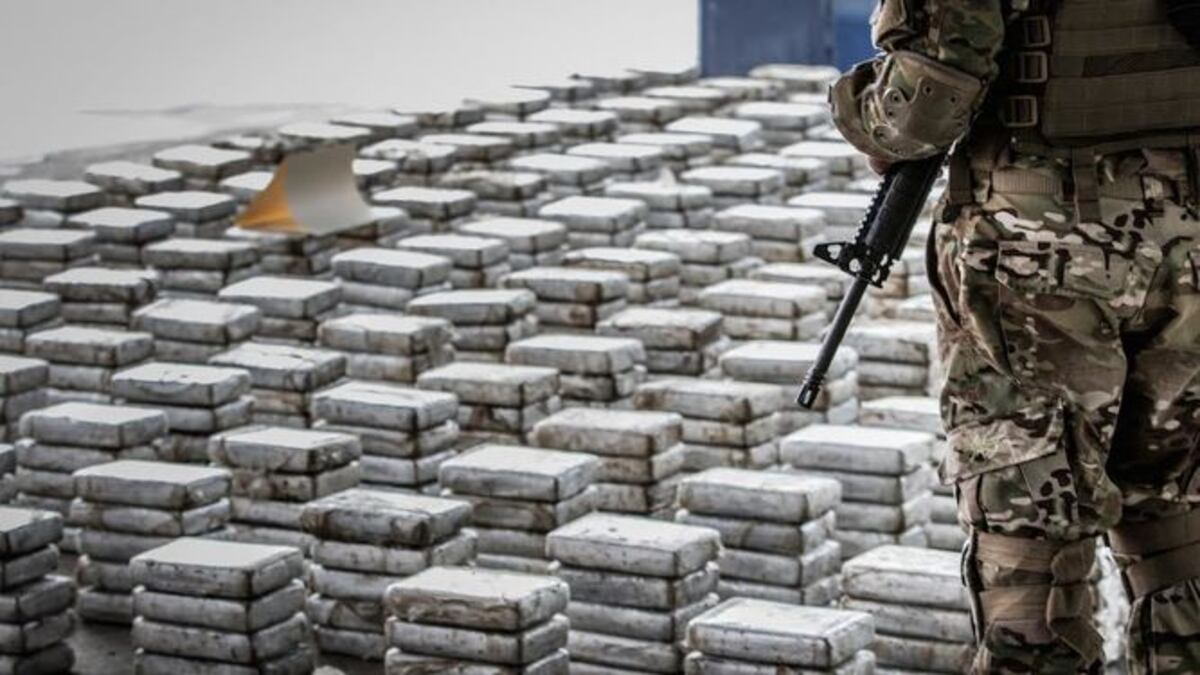 Se han decomisado 80 toneladas de drogas en lo que va del año 