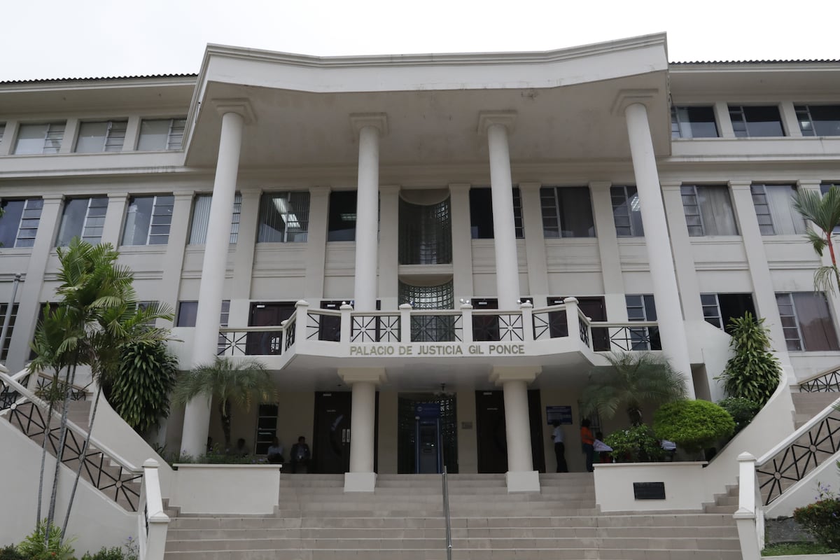 Corte con mayoría de mujeres debe promover cambios positivos