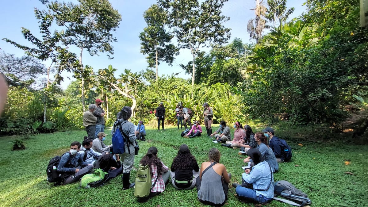 Primates en Panamá y en muchas regiones del mundo están en riesgo