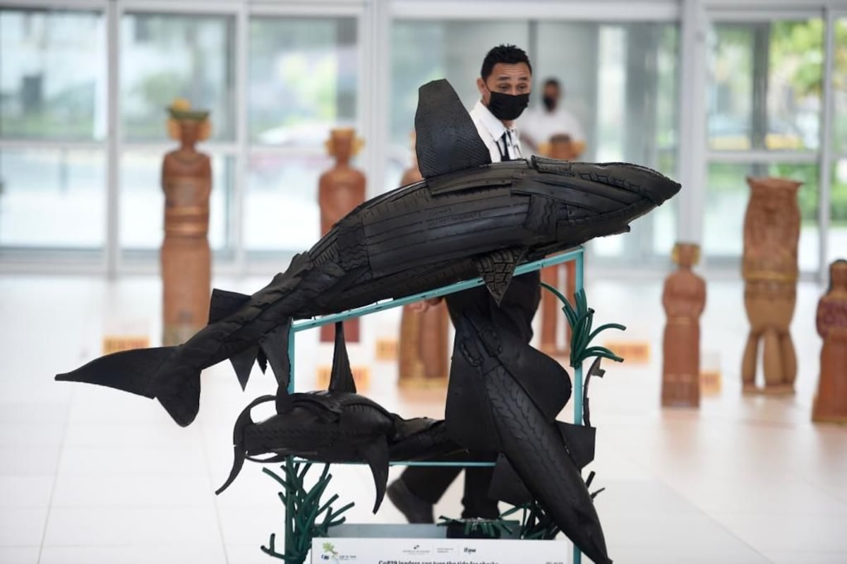 Este lunes se inaugura en Panamá la conferencia sobre especies amenazadas