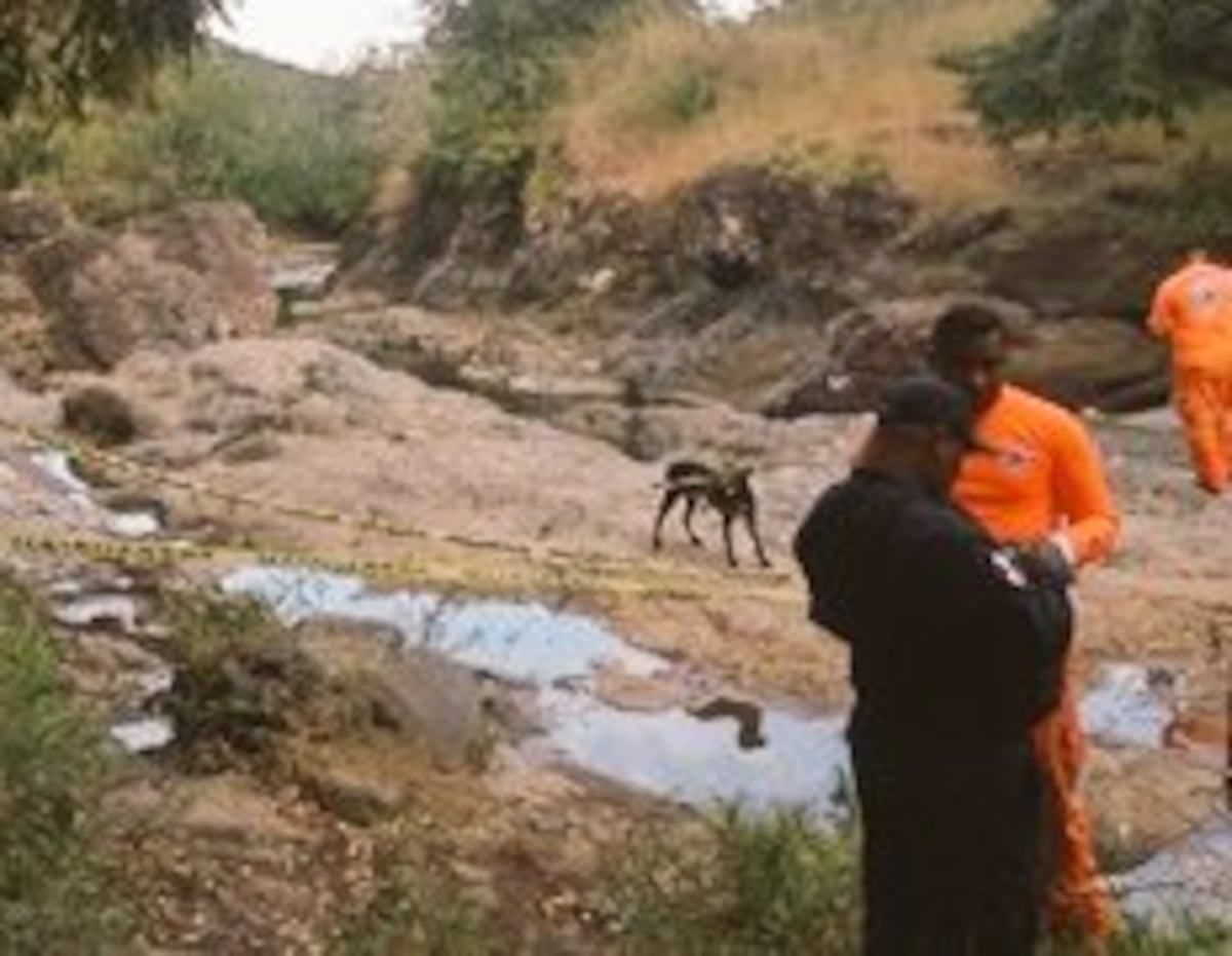 Alerta en los ríos: 87 muertes por inmersión en lo que va de 2024