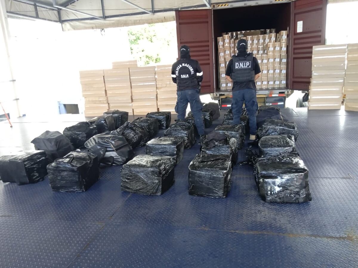 Continúan los grandes decomisos de droga. Video