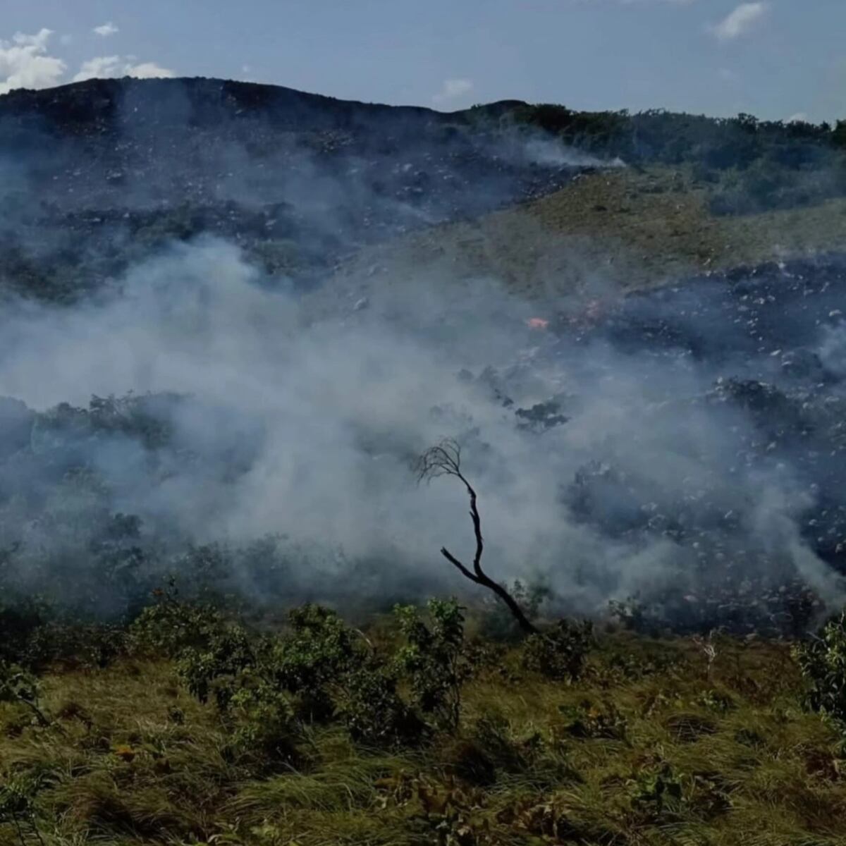 Incendio en cerro Guacamaya pone en jaque el suministro de agua de 52 comunidades
