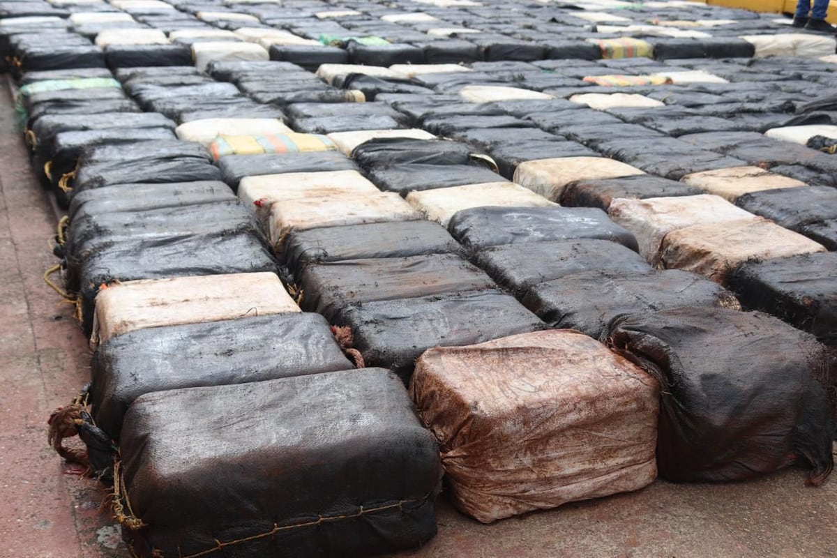 Operaciones del SENAN en 2025 dejan más de 70 toneladas de droga fuera de circulación