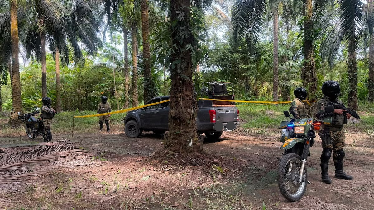 Hallan en una plantación de palma un pick-up presuntamente robado en Chiriquí