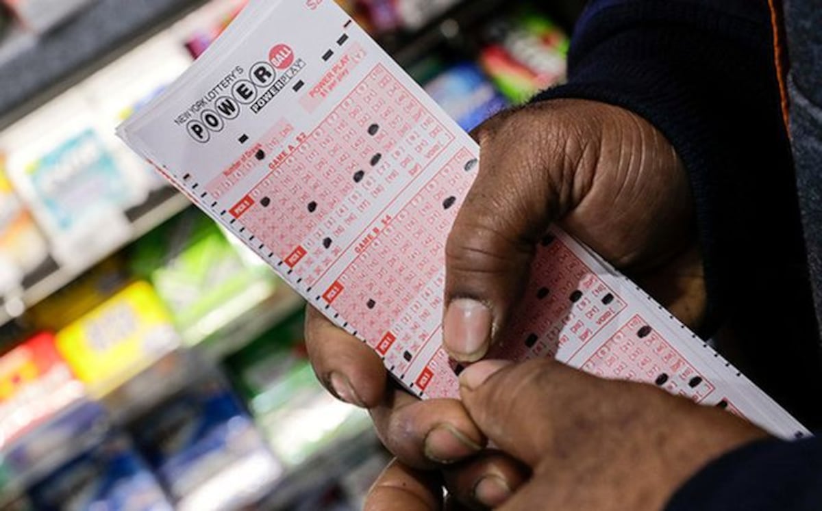 WAO. Olvida que compró un boleto de lotería, lo encuentra y gana cuatro millones