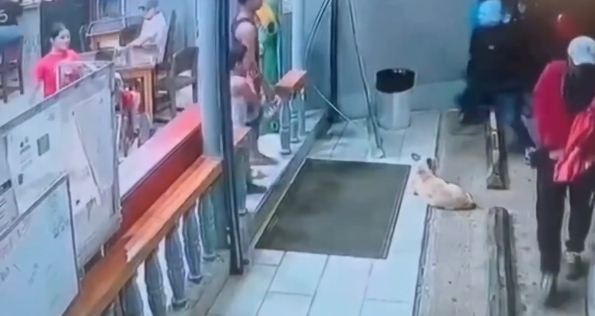 Delincuentes armados siembran el terror en restaurante de David 