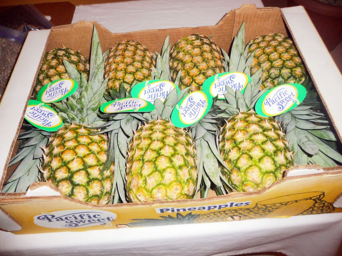 Mi Agro. Exportaciones en Panamá crecen a pesar de la pandemia un 8.9 %