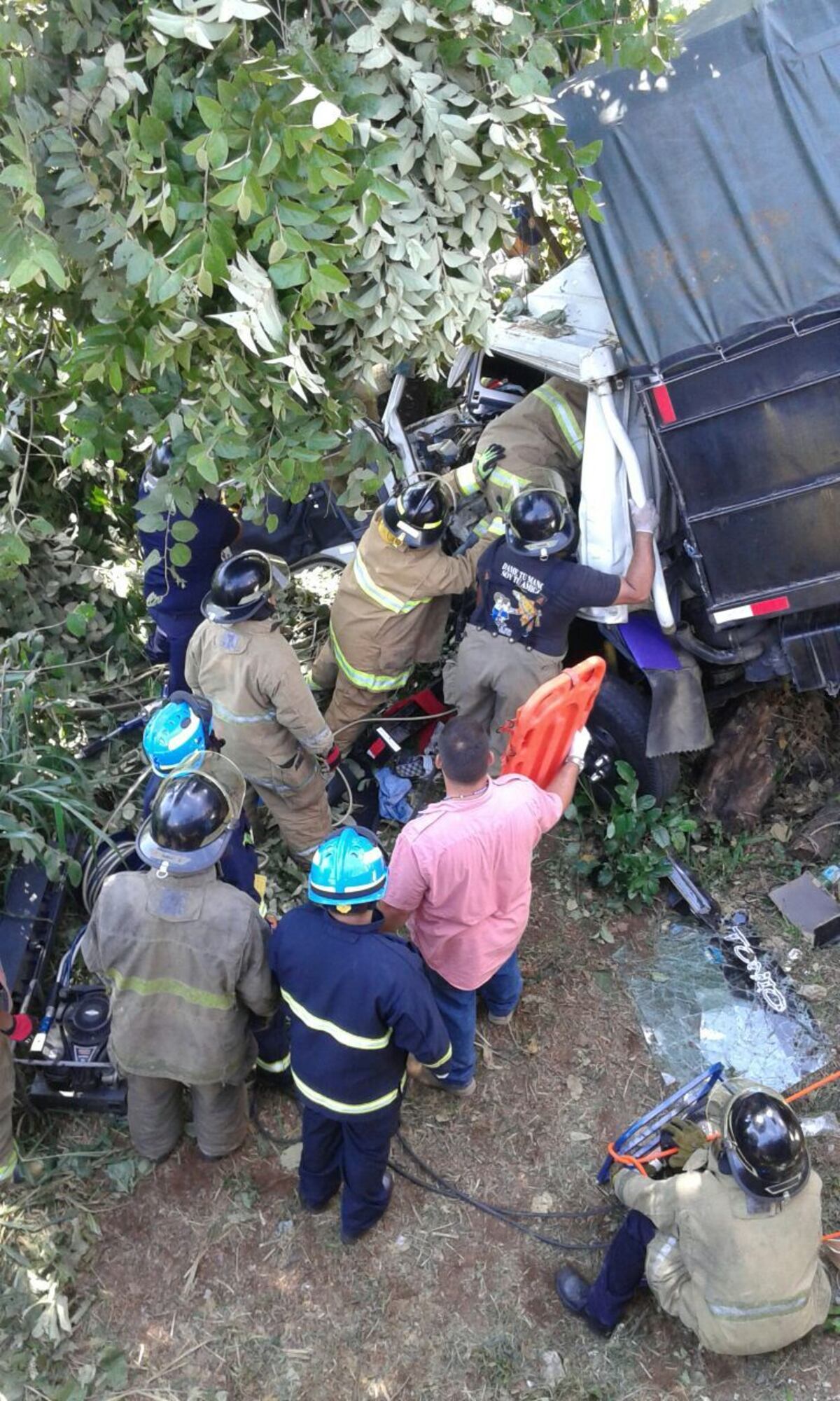 UNA SEÑORA MUERE. Camión de ganado cae al barranco y se estrella con un árbol 