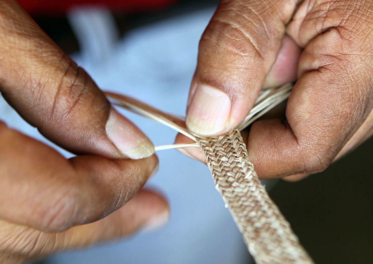 Le caen a comercios que plagian el sombrero pintao