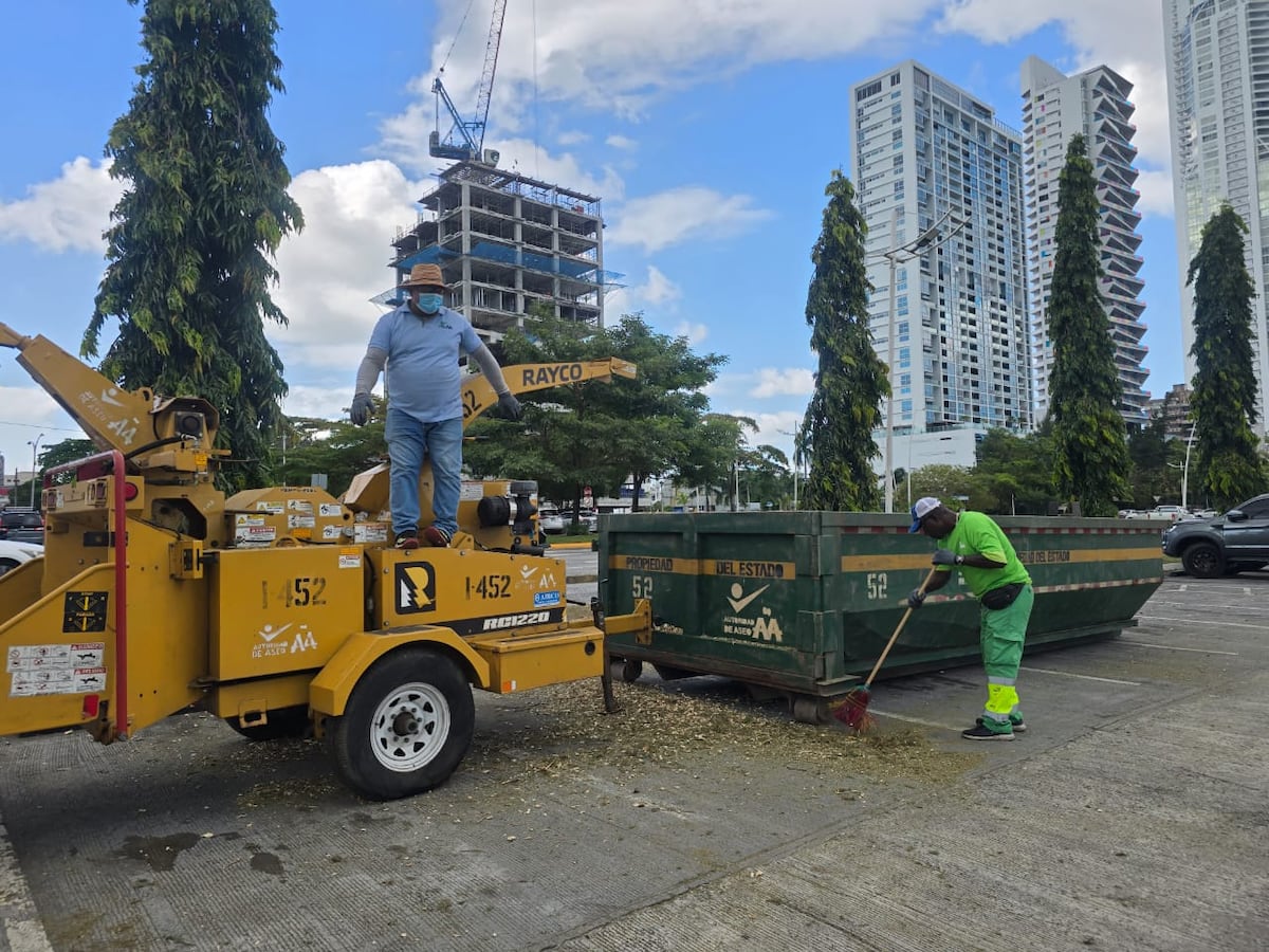 Árboles de Navidad se convierten en fertilizante natural en un giro verde tras las fiestas