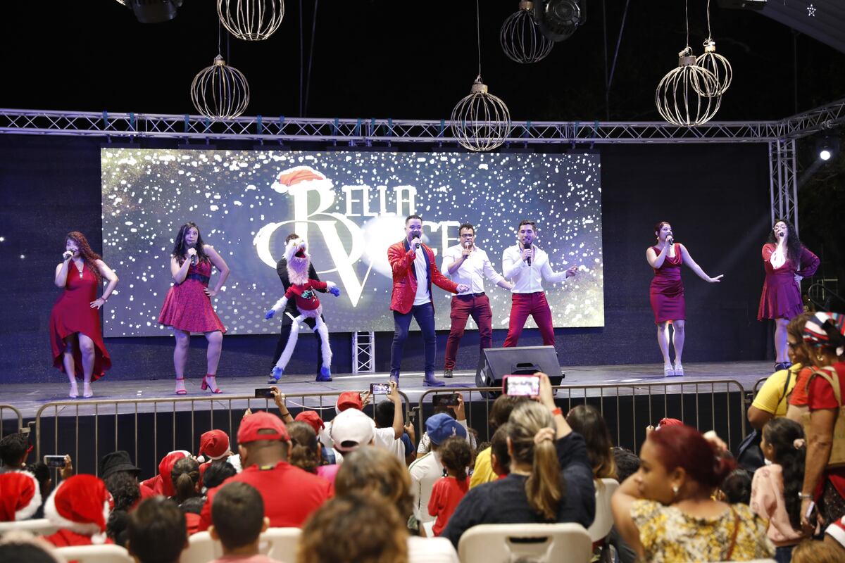 AGENDA CULTURAL: Este jueves bazar y concierto de Navidad en el Parque Omar