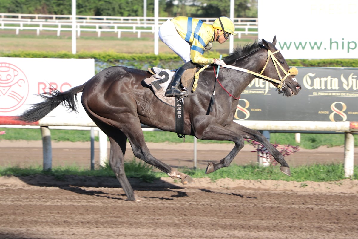 ¡Otra victoria invicta!  Indian Ring brilla en el Clásico Louis Rosita