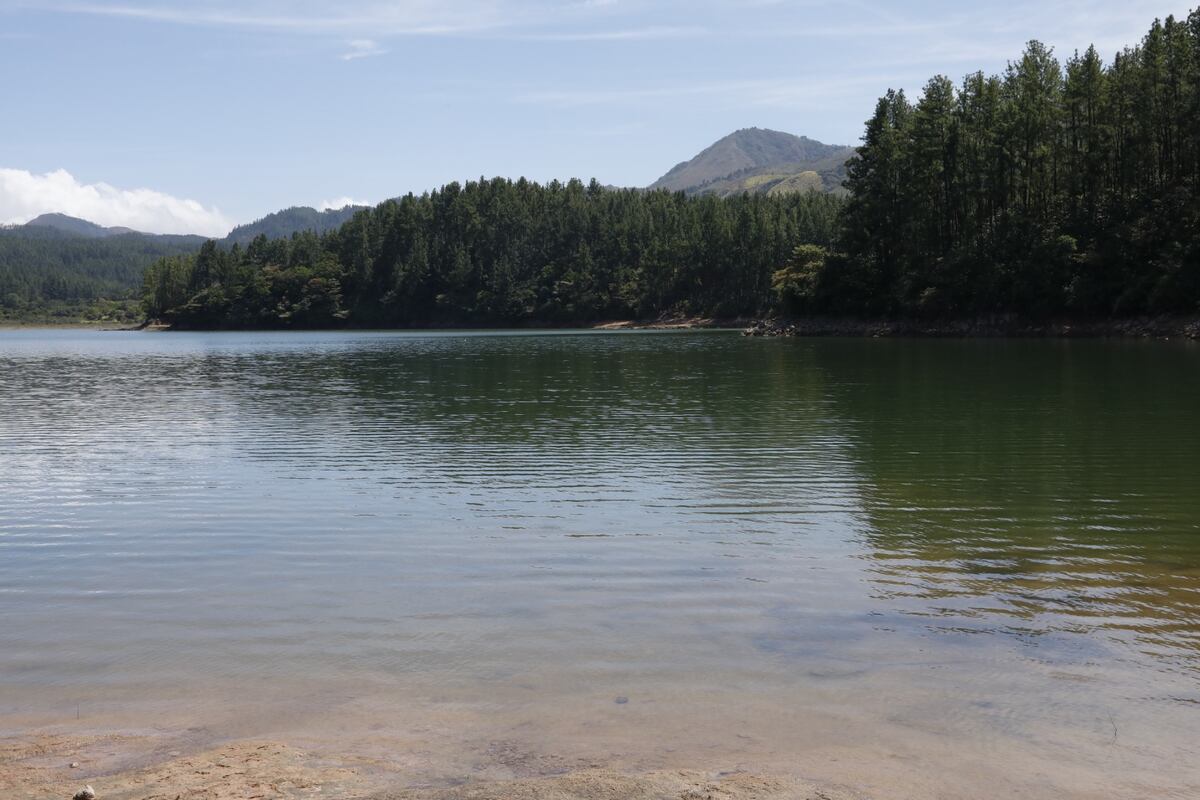 Panamá alerta sobre grave crisis en sus cuencas hidrográficas en el Día Nacional del Agua