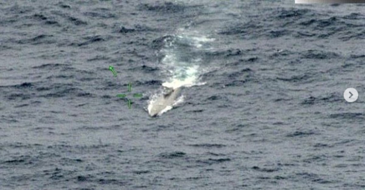 Se incautan de 5 toneladas en un semisumergible en Bocas del Toro