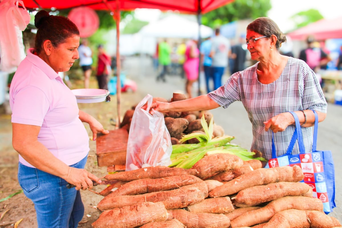 IMA anuncia agroferias este jueves 26 de marzo: vea dónde venderán barato