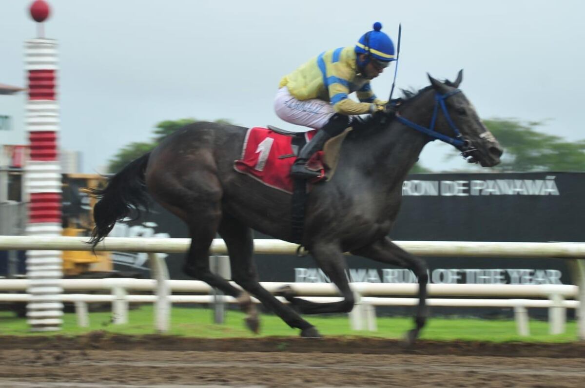 Fin de semana de grandes victorias en el Hipódromo Presidente Remón