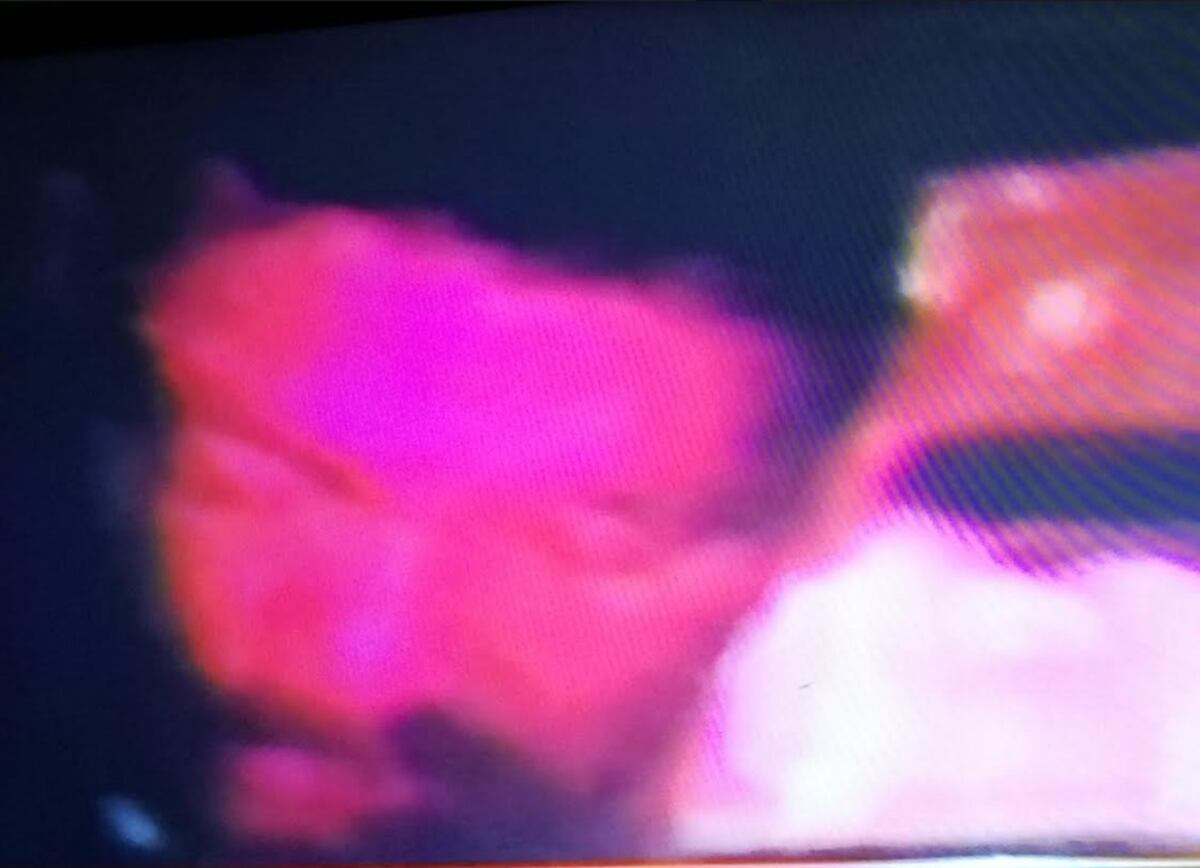 ¡TRANCAZO! El dirigente del SUNTRACS Genaro López choca en estado de ebriedad