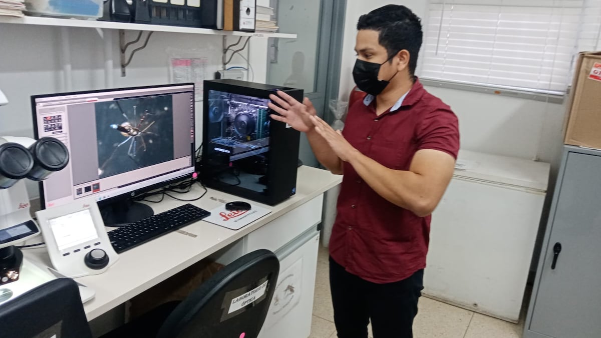 Estudiante panameño participa de estudio para conocer más sobre la encefalitis equina venezolana