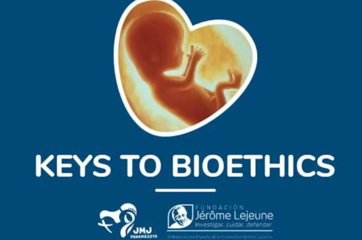 App sobre bioética se lanzará antes de la vigilia de jóvenes con el Papa. Video