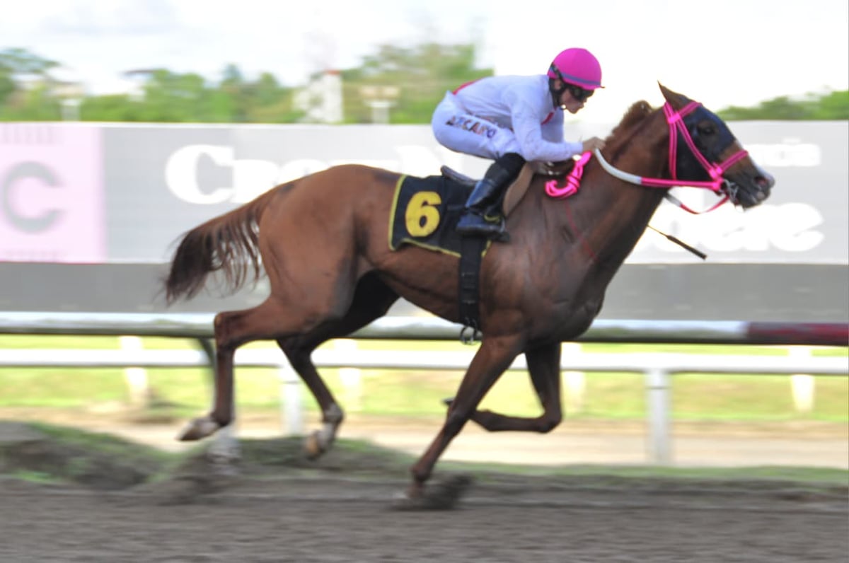 ‘Maverick’ sorprende y gana el Clásico ‘Familia Boyd’ en el Hipódromo Presidente Remón