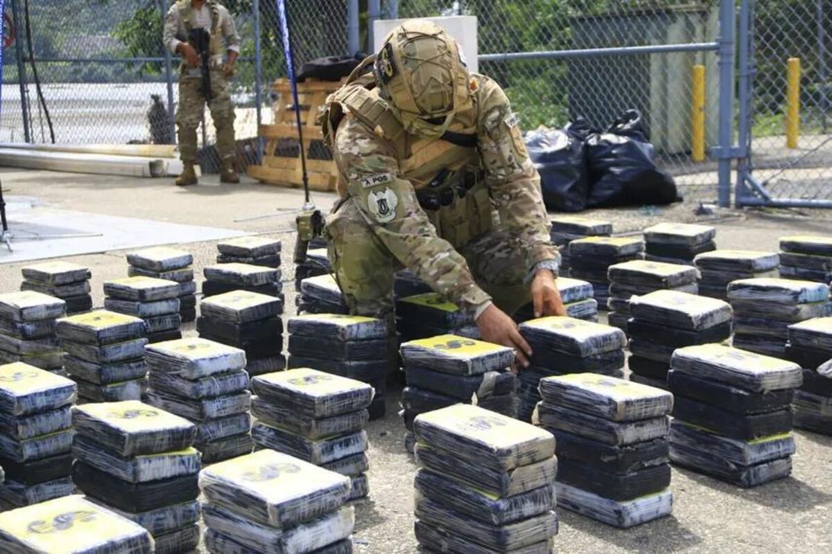 Lucha contra el narcotráfico: Estamentos de Seguridad reportan históricos decomisos en 2023