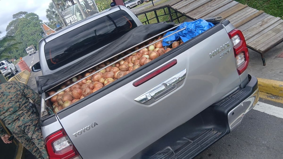 Revisión destapa presunto contrabando de cebollas en Chiriquí