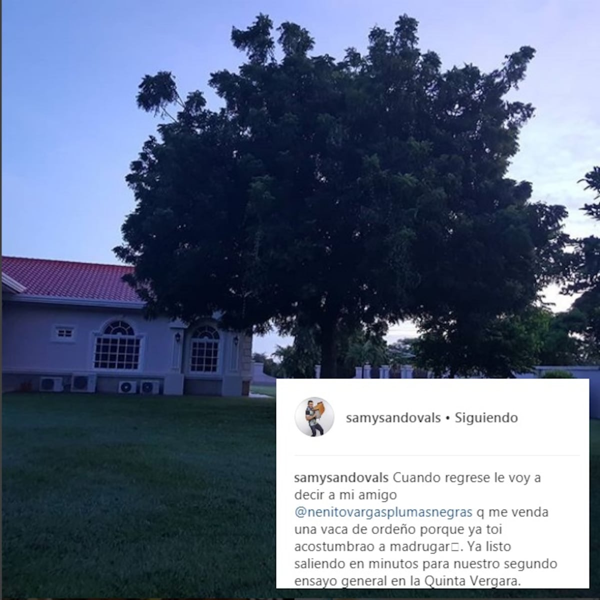 ¡Pobrecitos los Sandoval! Viña del Mar los tiene ojerosos de tanta madrugadera