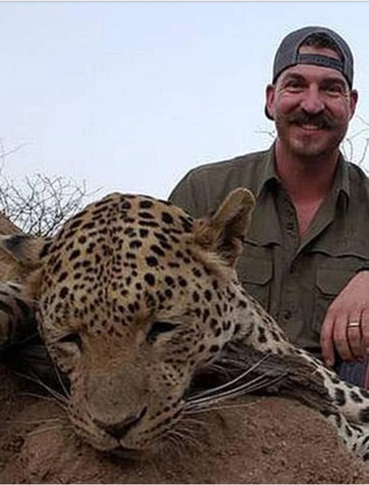 Encargado de la fauna en E.U. se fue a cazar a Namibia