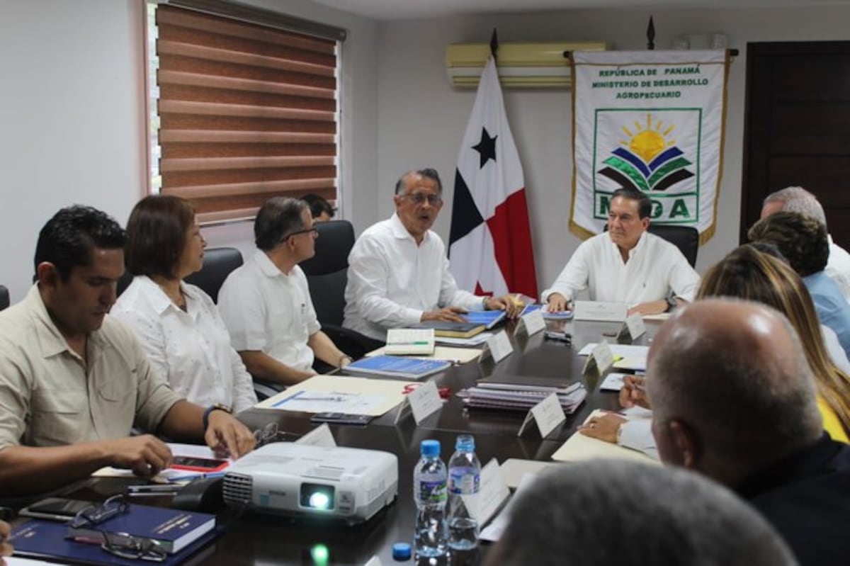 No habrá importación de arroz, hay suficiente grano