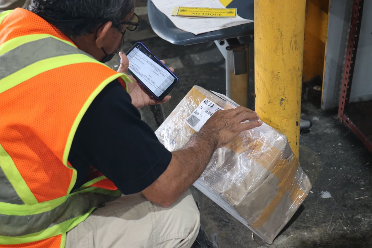 Decomisan Pepino de Mar en polvo en aeropuerto de Tocumen