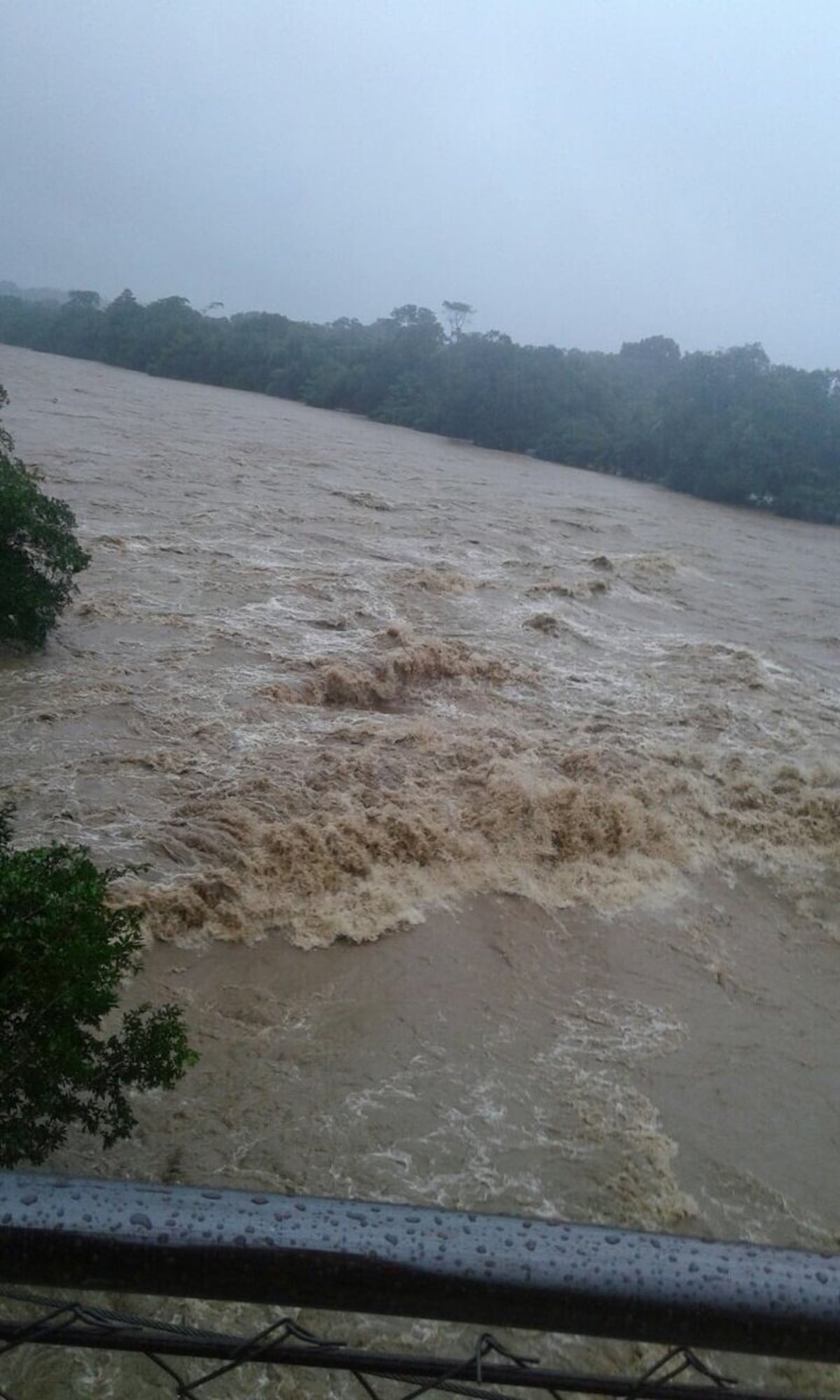Crecidas de ríos, inundaciones y árboles caídos se registran en Bocas del Toro