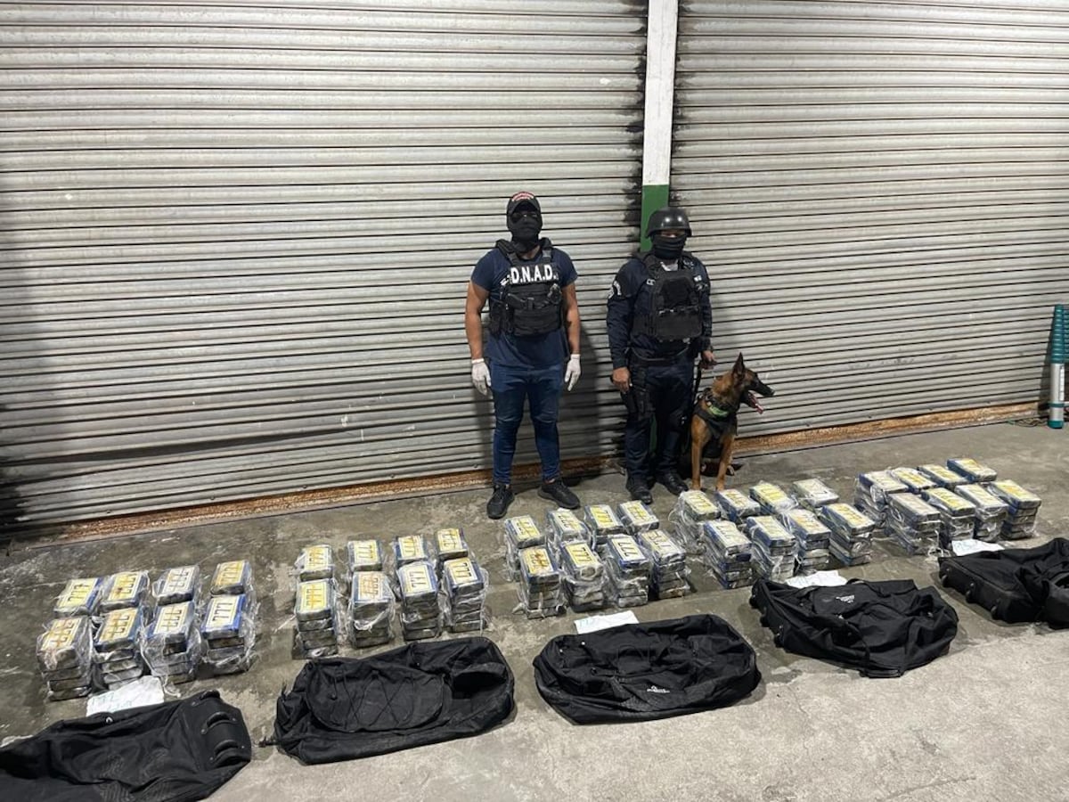 Policía Nacional frustra envío masivo de droga desde Chile con destino a Italia