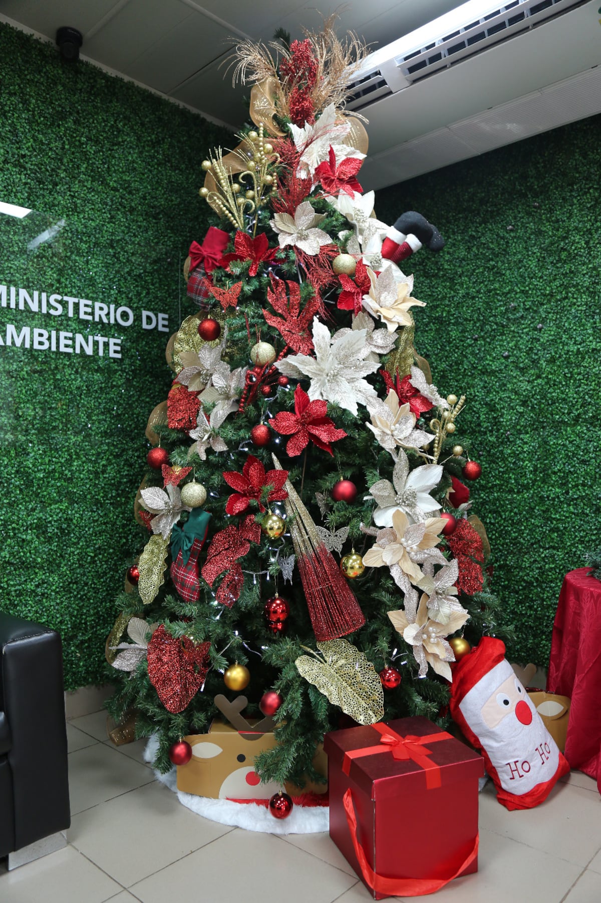 ¿No sabes qué hacer con tu arbolito? Estos son los puntos para reciclarlo del 7 al 11 de enero