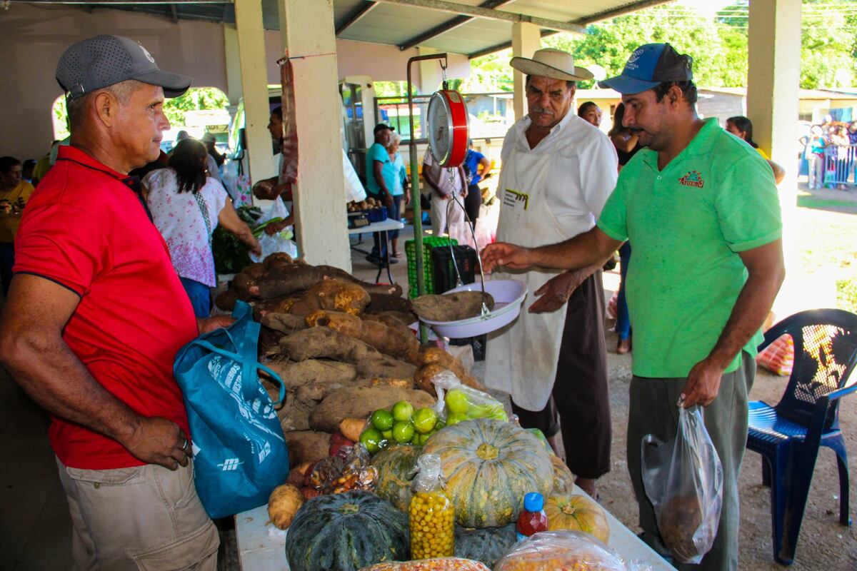 ¿Dónde estarán las agroferias este lunes 15 de septiembre? Aquí te contamos