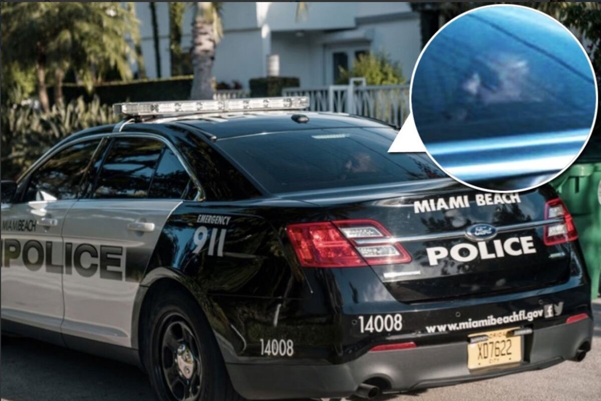 Fuera de control. Arrestan al excampeón de la UFC Conor McGregor