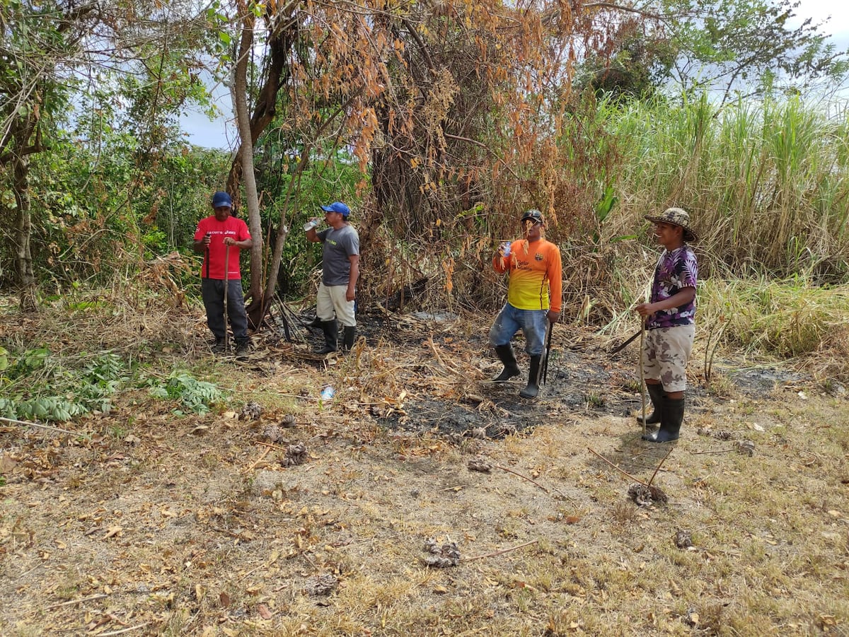 Surgen pistas. Autoridades y vecinos reanundan búsqueda de la niña Aderlyn, de 9 años