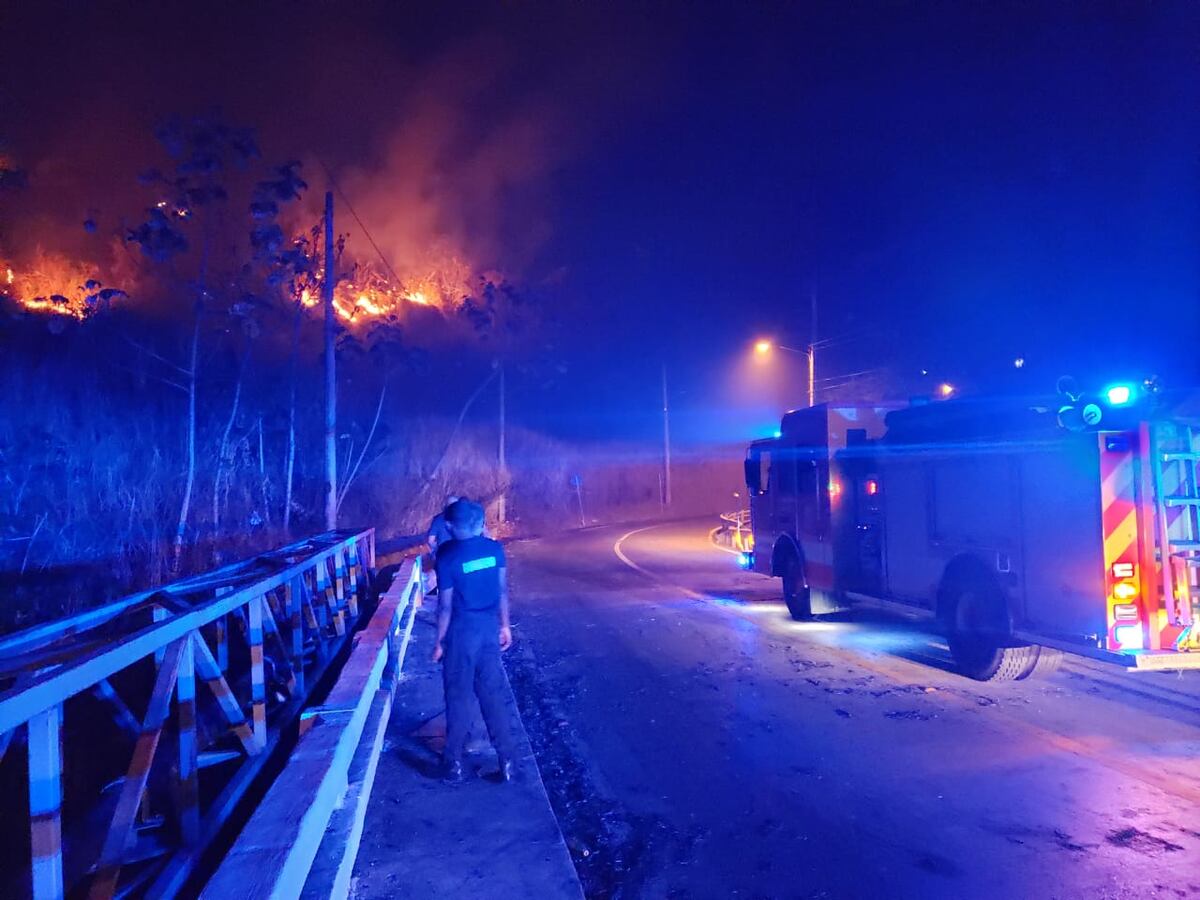 Los incendios de herbazales y las abejas siguen siendo el dolor de cabeza de los Bomberos de Panamá