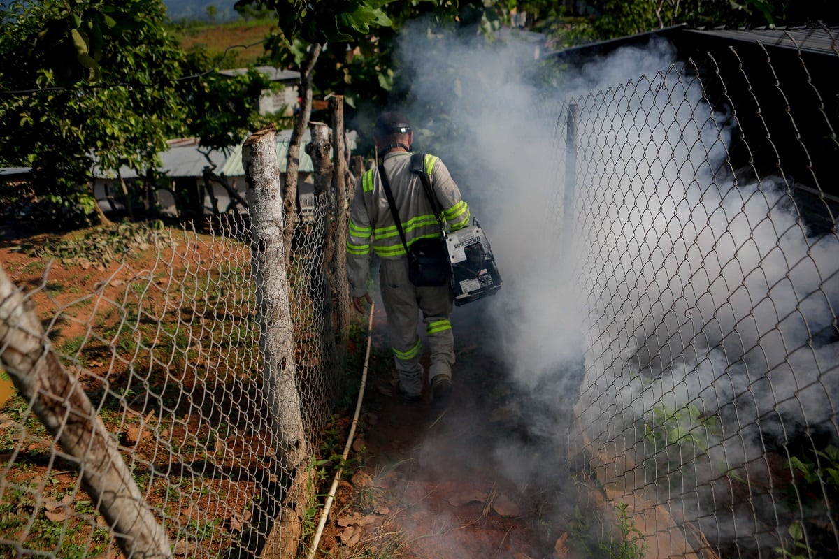 Panamá registra mil 932 casos de dengue y 3 mil 372 casos de malaria