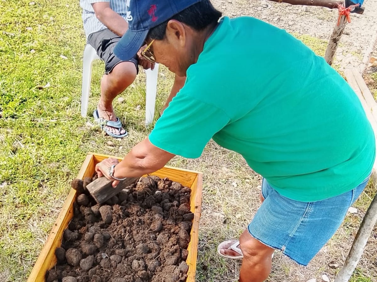 Guna Yala apuesta por agricultura sostenible con lombricompostaje