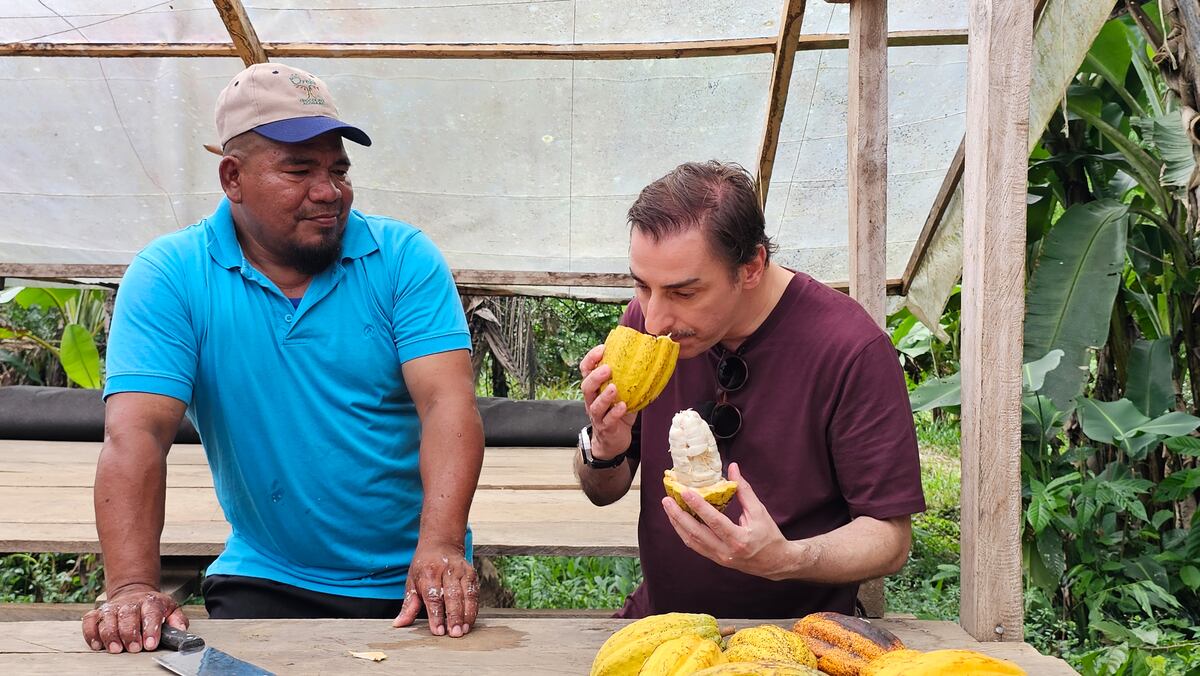 Örebä: el cacao indígena que fascina a Jordi Roca en Bocas del Toro