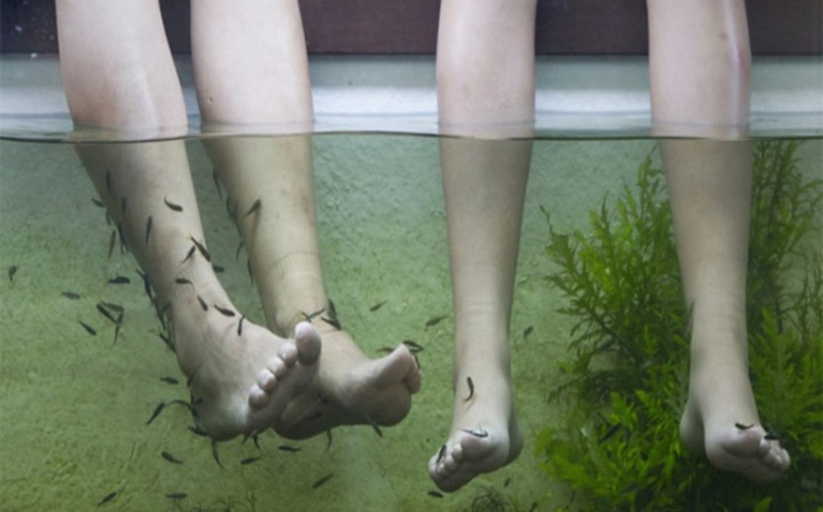 Acude a un spa de peces y deben amputarle los dedos| VIDEO
