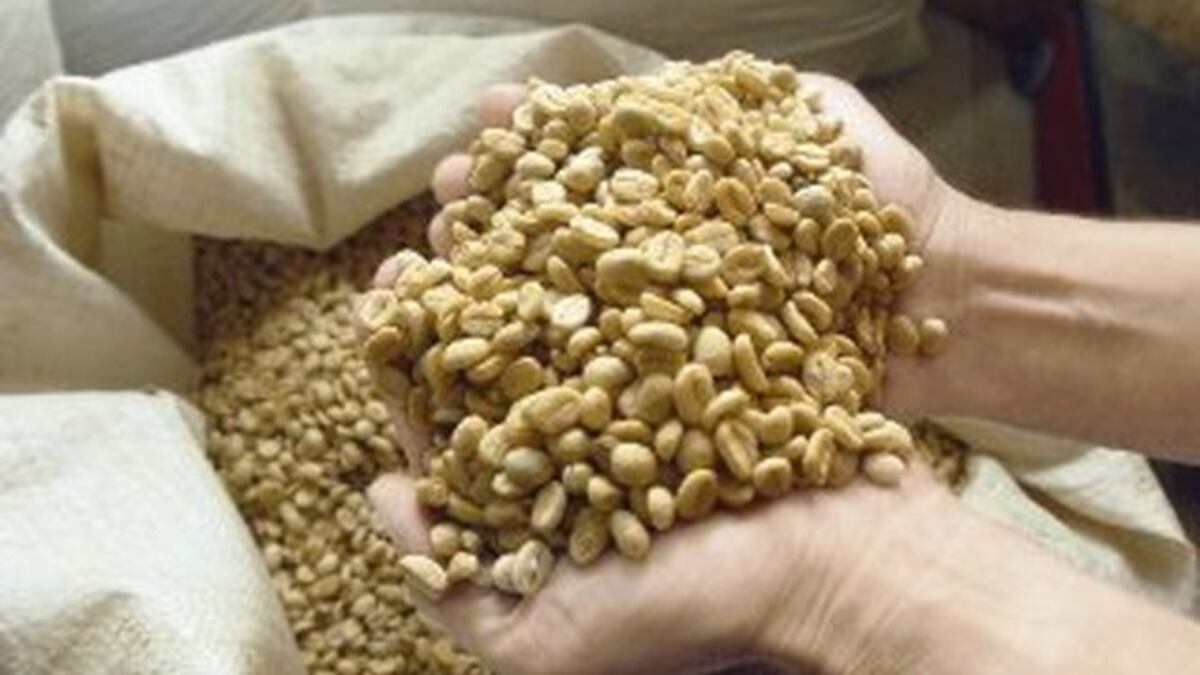 Panamá solicitará licencia a importadores de café tostado, deberán cumplir con varias normas