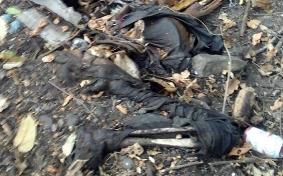 Osamenta en Chepo era la billetera desaparecida