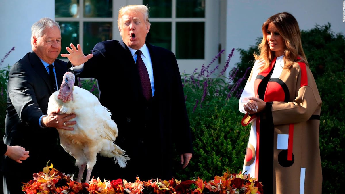 ‘Gobble’ y ‘Waddle’, los pavos de más de 20 kilos que Trump indultará por Acción de Gracias
