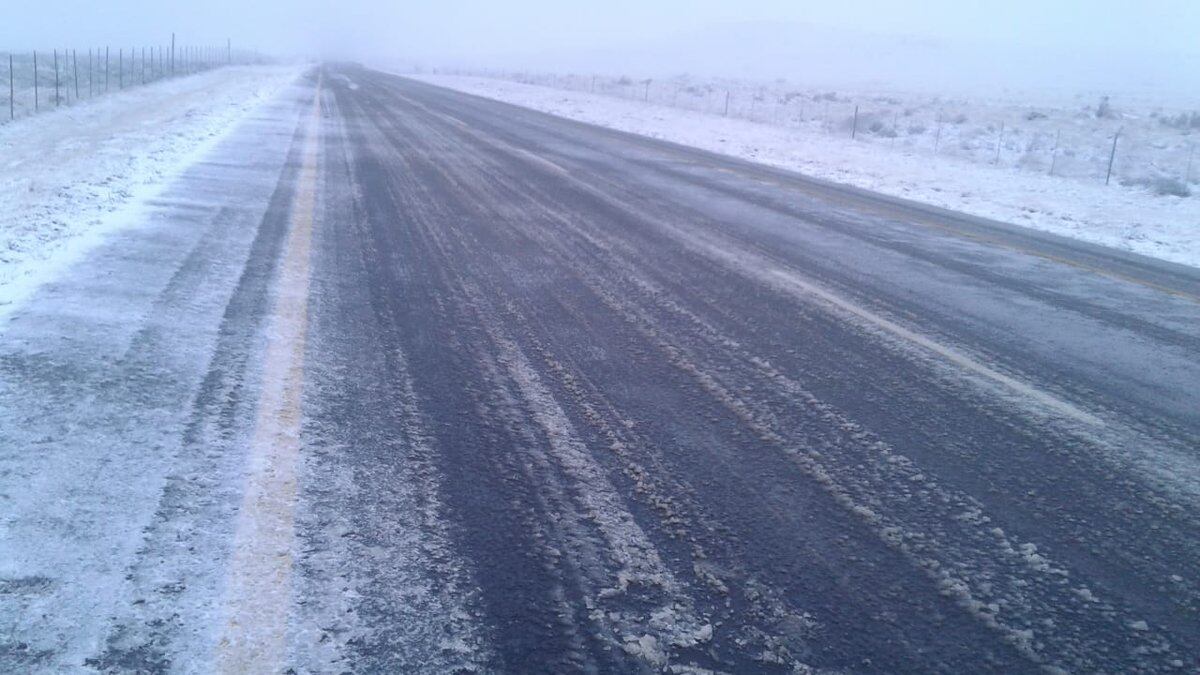 Jirafas en la nieve. Un inesperado golpe frío ha golpeado a Sudáfrica